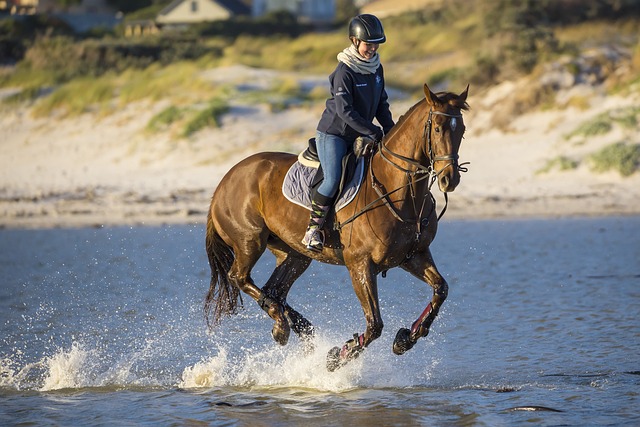 Ontdek de veelzijdigheid van horka outdoorlaarzen voor dames